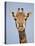 Cape Giraffe (Giraffa Camelopardalis Giraffa), Kruger National Park, South Africa, Africa-James Hager-Stretched Canvas