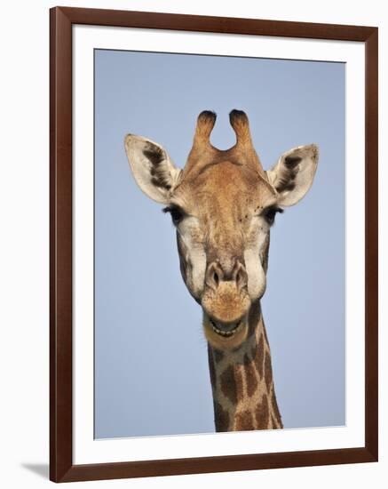 Cape Giraffe (Giraffa Camelopardalis Giraffa), Kruger National Park, South Africa, Africa-James Hager-Framed Photographic Print