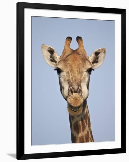 Cape Giraffe (Giraffa Camelopardalis Giraffa), Kruger National Park, South Africa, Africa-James Hager-Framed Photographic Print