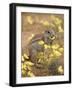 Cape Ground Squirrel Eating Yellow Wildflowers, Kgalagadi Transfrontier Park-James Hager-Framed Photographic Print