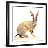 Cape Hare, 2010-Mark Adlington-Framed Giclee Print