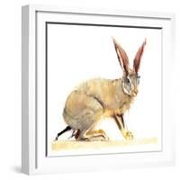 Cape Hare, 2010-Mark Adlington-Framed Giclee Print