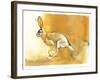 Cape Hare, 2010-Mark Adlington-Framed Giclee Print