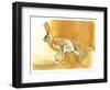 Cape Hare, 2010-Mark Adlington-Framed Giclee Print