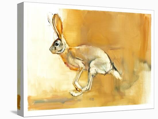 Cape Hare, 2010-Mark Adlington-Stretched Canvas