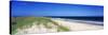 Cape Hattera National Park, Outer Banks, North Carolina USA-null-Stretched Canvas