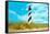 Cape Hatteras Lighthouse, North Carolina-null-Framed Stretched Canvas