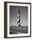 Cape Hatteras Lighthouse-Eliot Elisofon-Framed Photographic Print