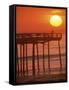 Cape Hatteras, North Carolina, USA-null-Framed Stretched Canvas