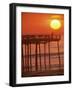 Cape Hatteras, North Carolina, USA-null-Framed Premium Photographic Print