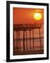 Cape Hatteras, North Carolina, USA-null-Framed Photographic Print