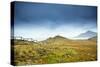 Cape Horn at the far southern end of South America, in the islands of Cape Horn National Park, Pata-Alex Robinson-Stretched Canvas