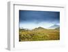 Cape Horn at the far southern end of South America, in the islands of Cape Horn National Park, Pata-Alex Robinson-Framed Photographic Print