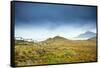 Cape Horn at the far southern end of South America, in the islands of Cape Horn National Park, Pata-Alex Robinson-Framed Stretched Canvas