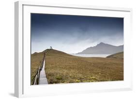 Cape Horn at the far southern end of South America, in the islands of Cape Horn National Park, Pata-Alex Robinson-Framed Photographic Print