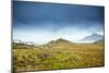 Cape Horn at the far southern end of South America, in the islands of Cape Horn National Park, Pata-Alex Robinson-Mounted Photographic Print