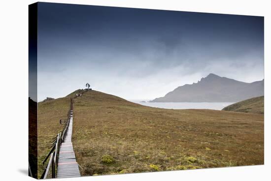 Cape Horn at the far southern end of South America, in the islands of Cape Horn National Park, Pata-Alex Robinson-Stretched Canvas