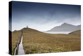 Cape Horn at the far southern end of South America, in the islands of Cape Horn National Park, Pata-Alex Robinson-Stretched Canvas