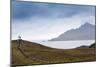 Cape Horn at the far southern end of South America, in the islands of Cape Horn National Park, Pata-Alex Robinson-Mounted Photographic Print