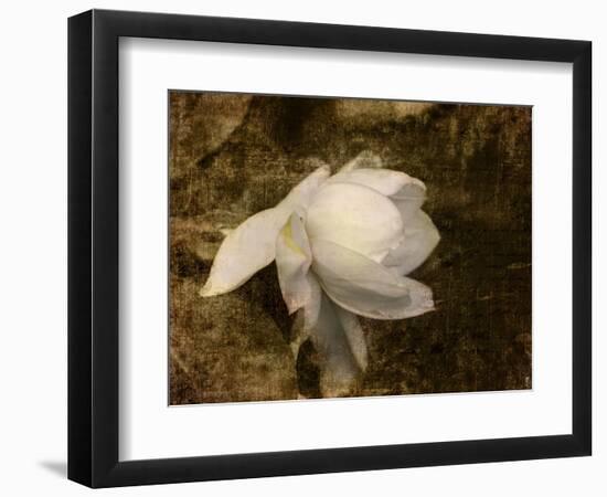 Cape Jasmine Gardenia 1-Jai Johnson-Framed Giclee Print