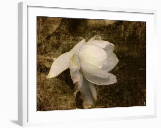 Cape Jasmine Gardenia 1-Jai Johnson-Framed Giclee Print