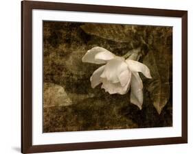 Cape Jasmine Gardenia 2-Jai Johnson-Framed Giclee Print