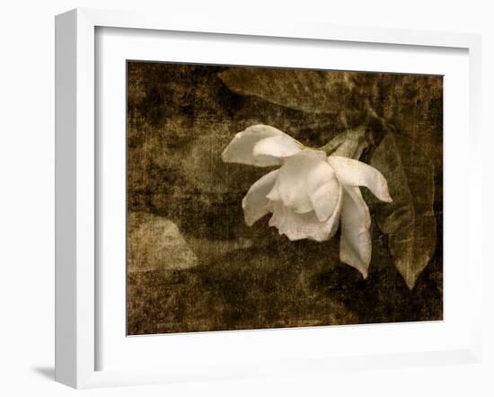 Cape Jasmine Gardenia 2-Jai Johnson-Framed Giclee Print