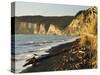 Cape Kidnappers, Hawke's Bay, North Island, New Zealand, Pacific-Jochen Schlenker-Stretched Canvas