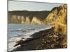 Cape Kidnappers, Hawke's Bay, North Island, New Zealand, Pacific-Jochen Schlenker-Mounted Photographic Print