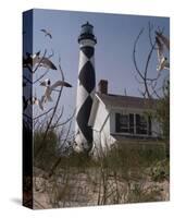 Cape Lookout II-Steve Hunziker-Stretched Canvas