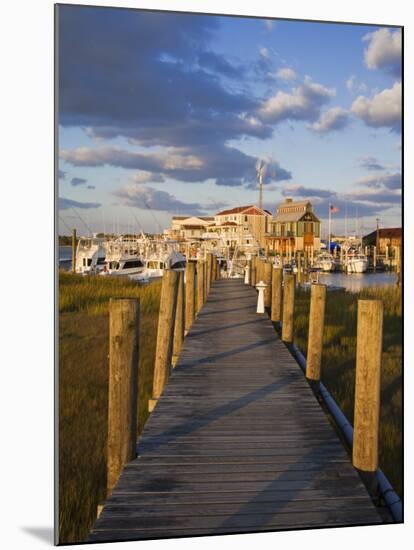 Cape May Harbor, Cape May County, New Jersey, United States of America, North America-Richard Cummins-Mounted Photographic Print