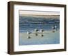 Cape May Herring Gulls-Bruce Dumas-Framed Giclee Print
