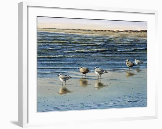 Cape May Herring Gulls-Bruce Dumas-Framed Giclee Print