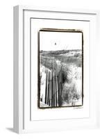 Cape May Lighthouse II-Laura Denardo-Framed Art Print