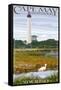 Cape May Lighthouse - New Jersey Shore-Lantern Press-Framed Stretched Canvas