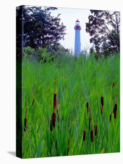 Cape May Point Lighthouse, New Jersey-George Oze-Stretched Canvas