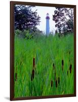 Cape May Point Lighthouse, New Jersey-George Oze-Framed Photographic Print