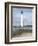 Cape May-David Knowlton-Framed Giclee Print