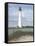 Cape May-David Knowlton-Framed Stretched Canvas