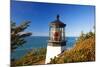 Cape Meares Lighthouse, from Cape Meares, Oregon, USA-Craig Tuttle-Mounted Photographic Print