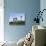 Cape Neddick (The Nubble) Lighthouse, Cape Neddick, Maine, New England, USA, North America-Alan Copson-Stretched Canvas displayed on a wall