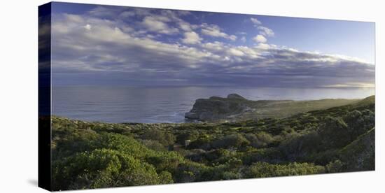 Cape of Good Hope, Cape Point National Park, Cape Town, Western Cape, South Africa, Africa-Ian Trower-Stretched Canvas