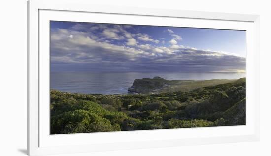 Cape of Good Hope, Cape Point National Park, Cape Town, Western Cape, South Africa, Africa-Ian Trower-Framed Photographic Print