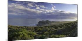 Cape of Good Hope, Cape Point National Park, Cape Town, Western Cape, South Africa, Africa-Ian Trower-Mounted Photographic Print