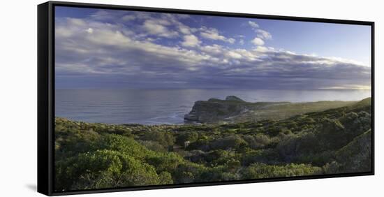 Cape of Good Hope, Cape Point National Park, Cape Town, Western Cape, South Africa, Africa-Ian Trower-Framed Stretched Canvas