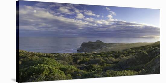 Cape of Good Hope, Cape Point National Park, Cape Town, Western Cape, South Africa, Africa-Ian Trower-Stretched Canvas