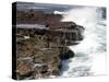 Cape of Good Hope, National Park, Near Cape Town, South Africa, Africa-Thorsten Milse-Stretched Canvas