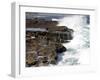 Cape of Good Hope, National Park, Near Cape Town, South Africa, Africa-Thorsten Milse-Framed Photographic Print