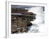 Cape of Good Hope, National Park, Near Cape Town, South Africa, Africa-Thorsten Milse-Framed Photographic Print