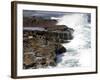 Cape of Good Hope, National Park, Near Cape Town, South Africa, Africa-Thorsten Milse-Framed Photographic Print